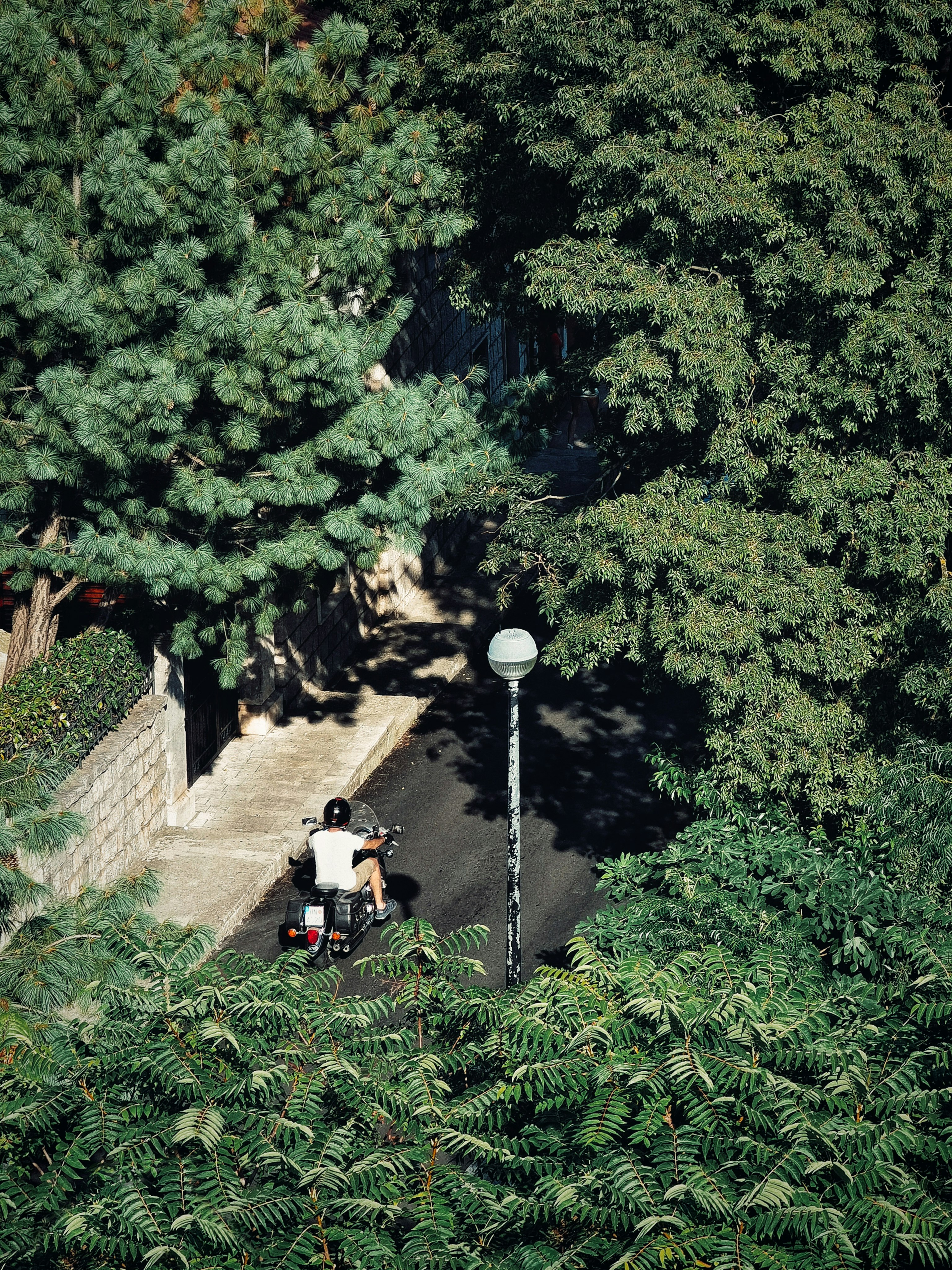 man in black jacket sitting on black and white golf cart